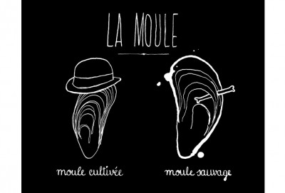 moule3