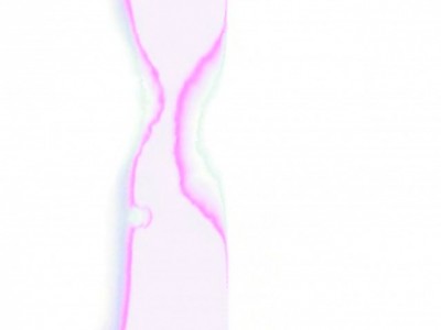Blooming 05