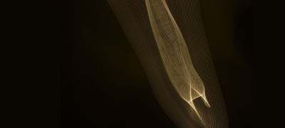 Perceptif 6