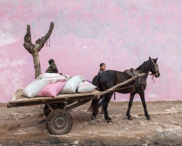 Maroc 14