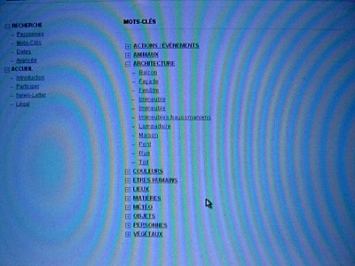 J'améliore l'interface d'ADaM