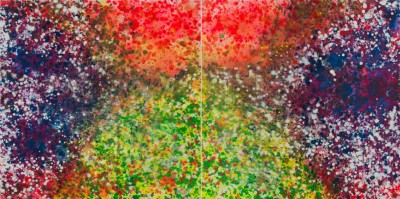 1470294_736975026332522_283863553_n