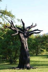 Fossile 01