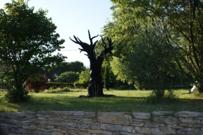 Fossile 05