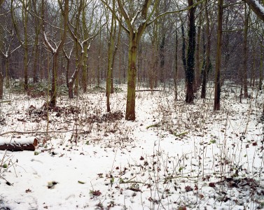 hab-4b