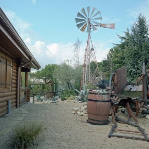 bis21-7177007