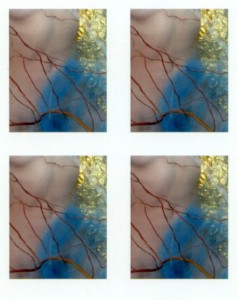 photomaton 35