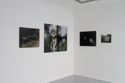 expo dearing-3