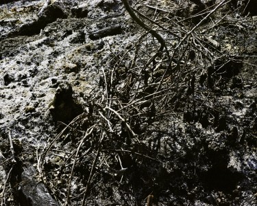 fragment06
