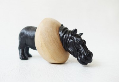 hippo01