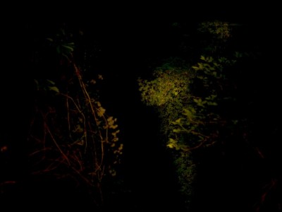De l'autre côté du miroir-5