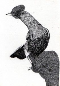 Oiseau