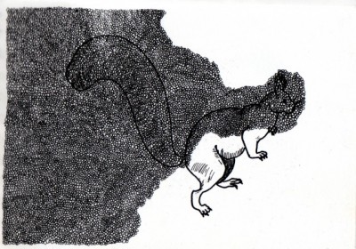 écureuil