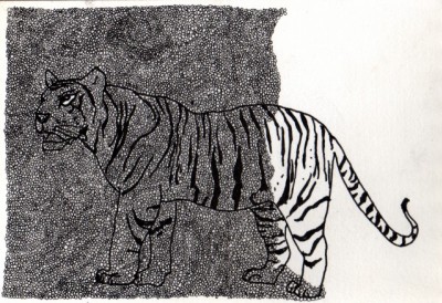 Tigre