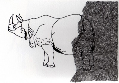 rhino