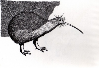 Kiwi