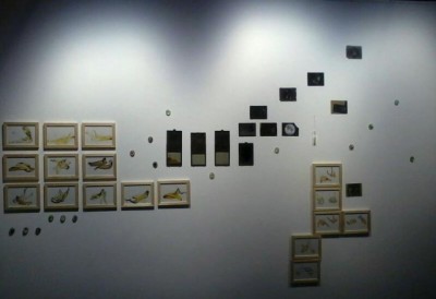 Microcosmes