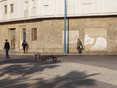 TransMaghrebExpress