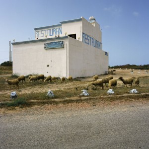 MediterraniaSaidia_23