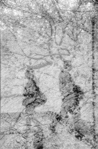 16647_12