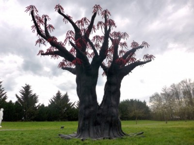 mutation 01