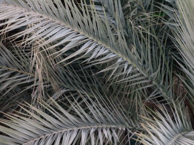 Taroudant©BaptisteDVA-5