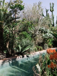 Taroudant©BaptisteDVA-7