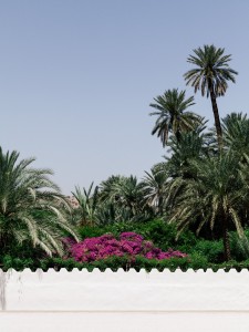 Taroudant©BaptisteDVA-8