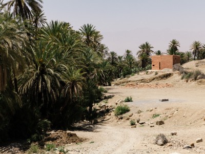 Taroudant©BaptisteDVA-10