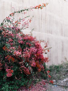Taroudant©BaptisteDVA-13
