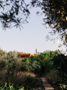 Taroudant©BaptisteDVA-14