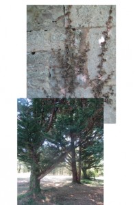 p170816-206