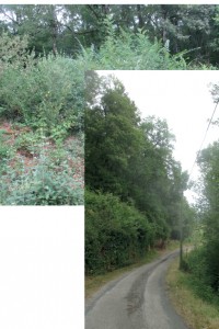 p170816-74