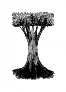 arbre