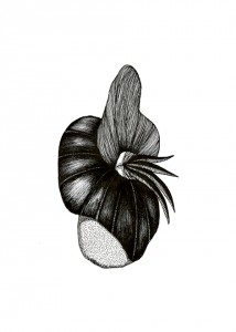 fleur