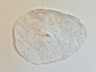 nombril I