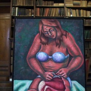 peau d'anne 2