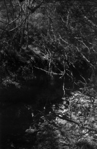 Ravine