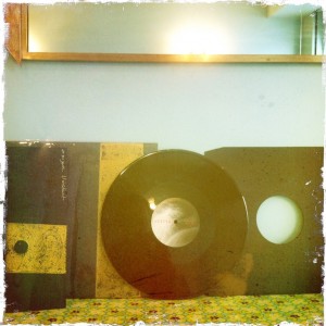 vinyl sylvia