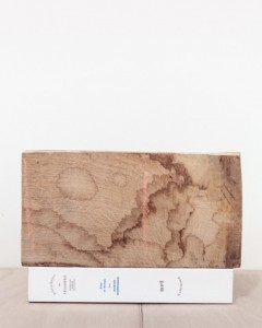 Ekphrasis 12