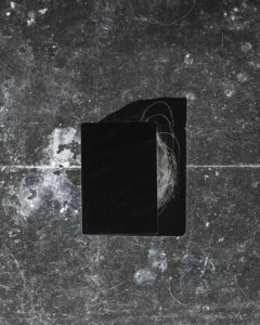 Melanosis 7