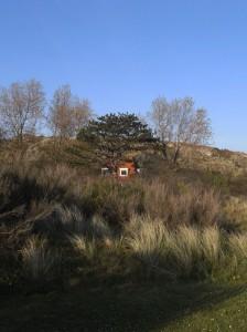 NL001