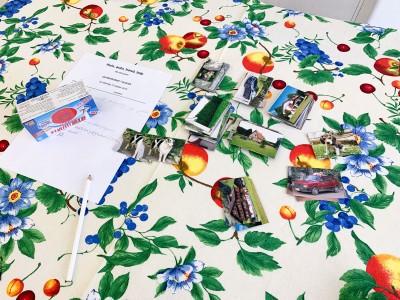 HUIS AUTO HOND TULP game