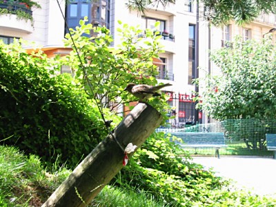 Nous nous installons dans un parc