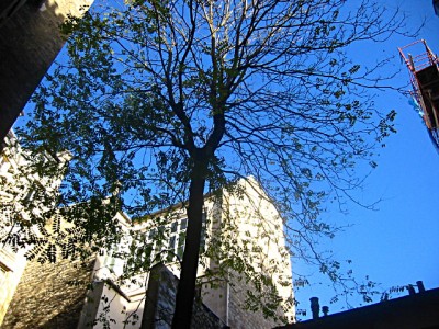 Jeudi matin