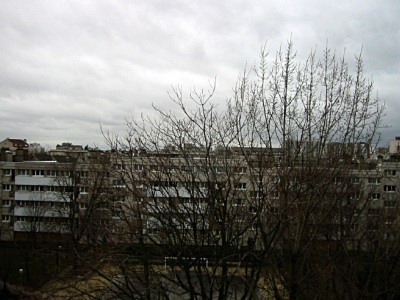 La vue