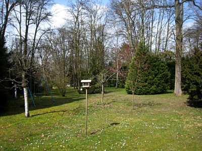 Nous allons dans le grand jardin
